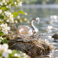 baroque pearl serene swan silver brooch in a nature-inspired styling photo