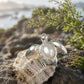 baroque pearl shell swimming sea turtle silver brooch in a nature-inspired styling photo