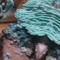 Product video: handmade silver ocean crab brooch and convertible pendant