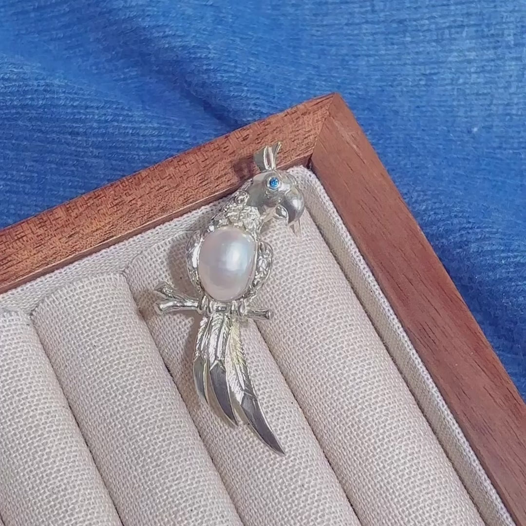 Product video: handmade silver watchful parrot brooch and convertible pendant